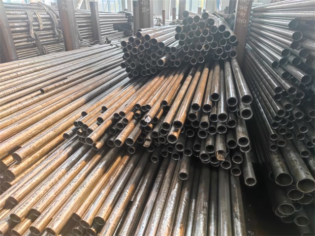 IMG_20230401_144037.jpg IMG_20230401_144037.jpg