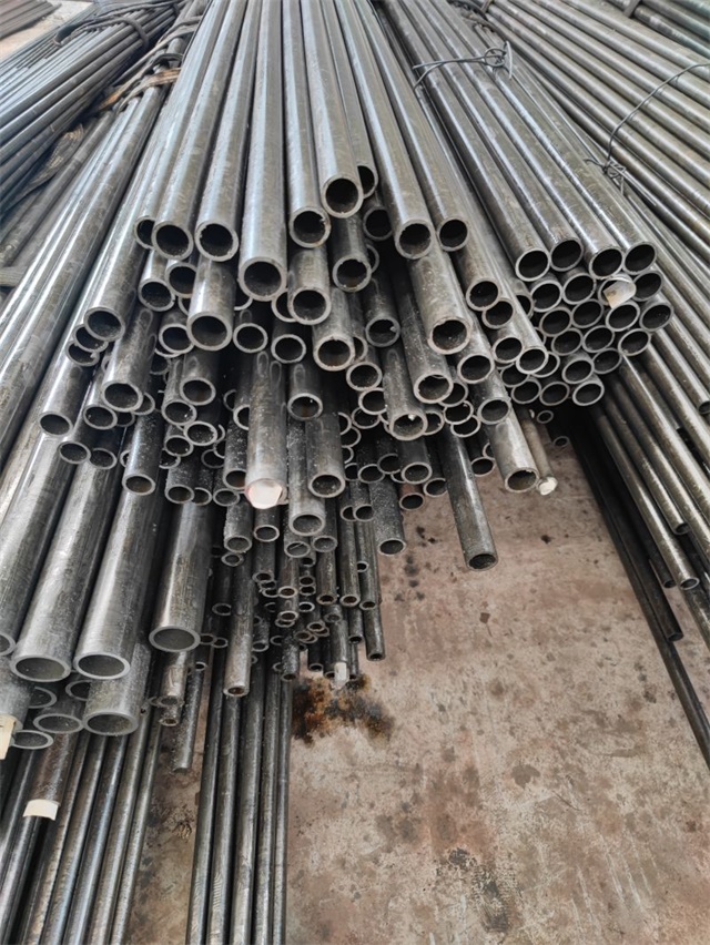 IMG_20230401_112038.jpg IMG_20230401_112038.jpg