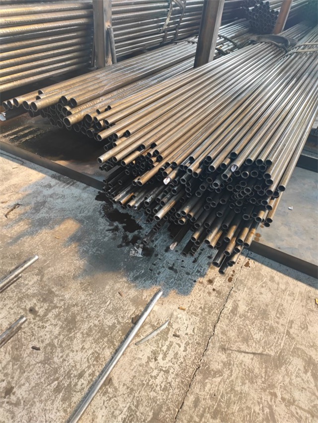 IMG_20230401_142555.jpg IMG_20230401_142555.jpg