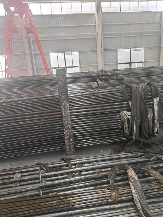 IMG_20230401_143304.jpg IMG_20230401_143304.jpg