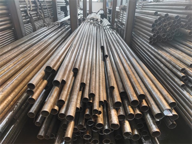 IMG_20230401_144055.jpg IMG_20230401_144055.jpg