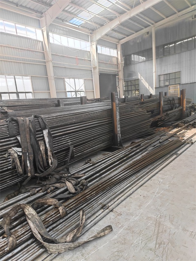 IMG_20230401_143302.jpg IMG_20230401_143302.jpg